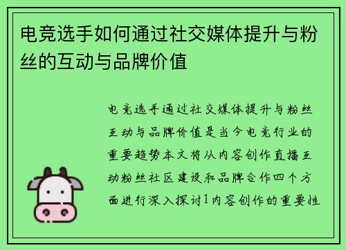 电竞选手如何通过社交媒体提升与粉丝的互动与品牌价值